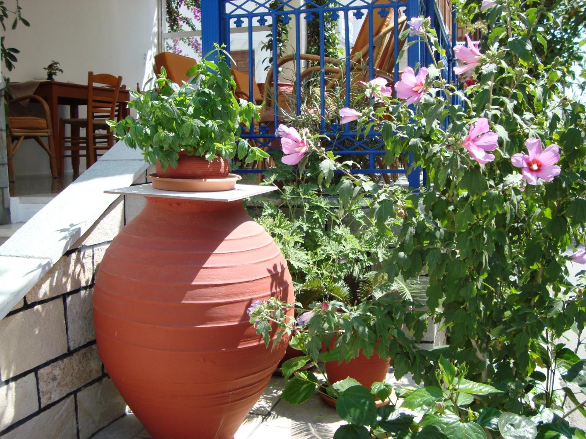 Vakhos Hotel Naxos City Exterior photo